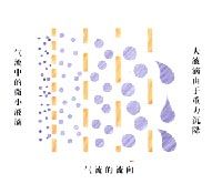 油气分离精细过滤器